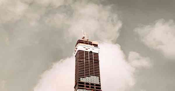 外国语单招大数据的行业文章