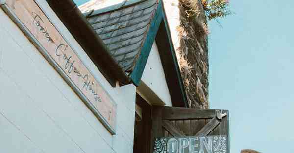 外国语单招大数据的行业文章