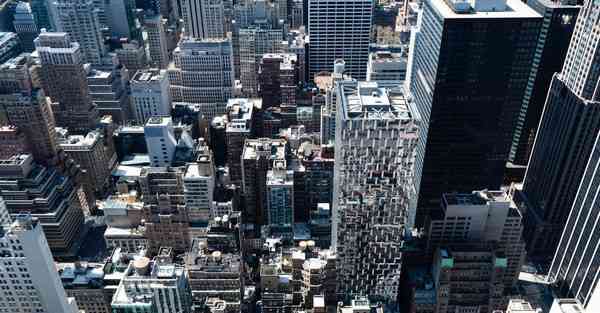 外国语单招大数据的行业文章