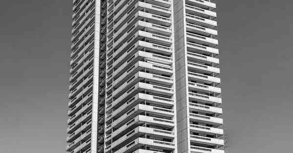 大数据中的数据解释