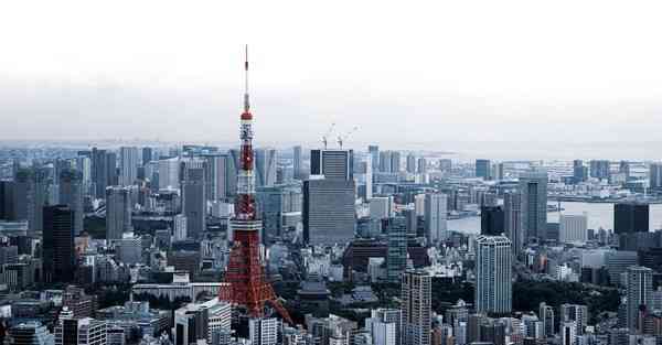 光伏清洁智能机器人股票