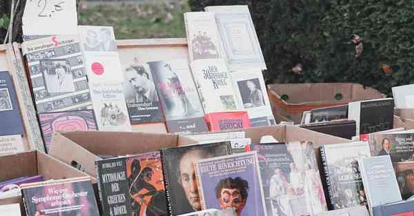 外国语单招大数据的行业文章