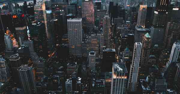 外国语单招大数据的行业文章