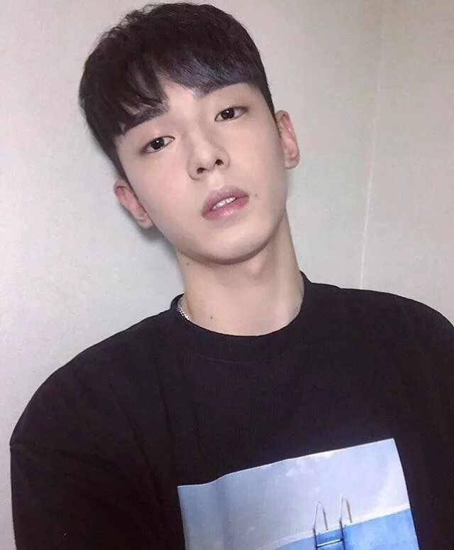 卢强娣美