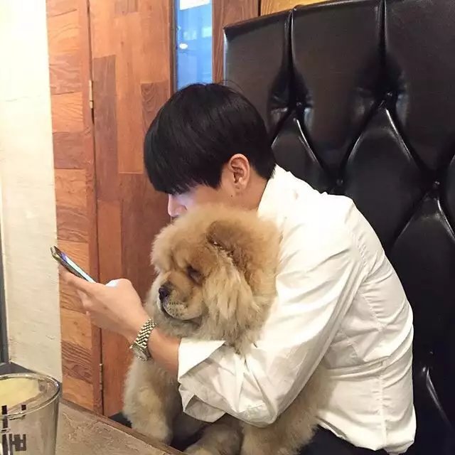 陆震悦江