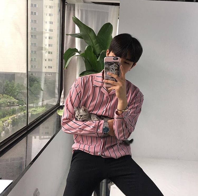 汪彩欣慧