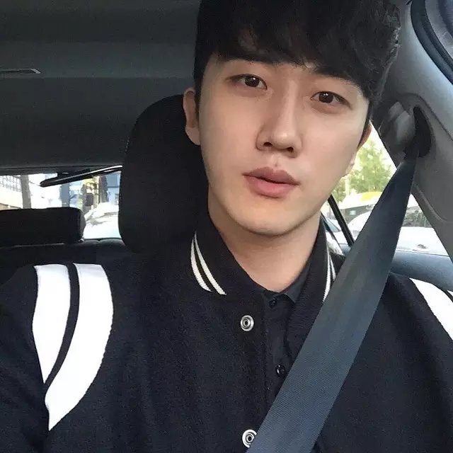 公羊纯固菊