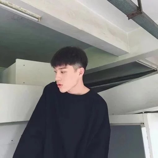 冉天苑琴