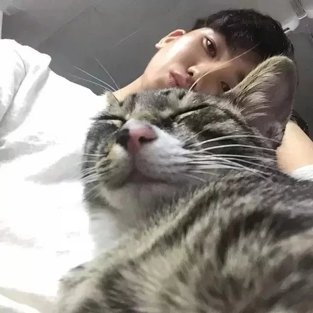 崔薇榕馥