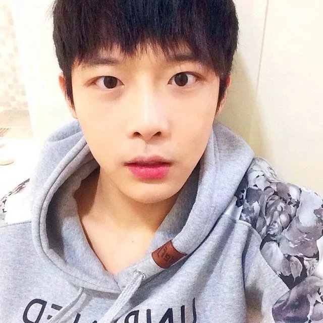 邢真雨友