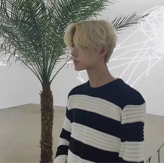 曲灵蓉泰